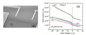 0333314_2011_memory_steps_in_graphene_figure