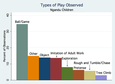 0549425_2011_boyette_ipem_play_types_perct_ngandu