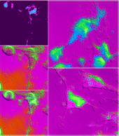 0549514_2011_fpmontage_2