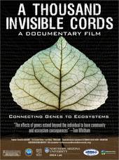 0549505_2012_a_thousand_invisible_cords_poster