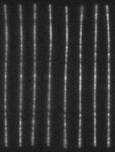 0221715_2012_mt_montage_experimental