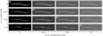 0221715_2012_mt_montage_numerical_noise