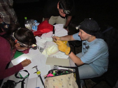 Emma Gomez and team marking bats