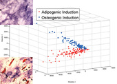 0801620_2009_090427_pnas_figure_4_mdtcomb_copy