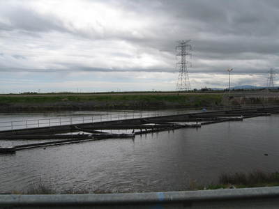 Louvers at the Tracy Fish Facility