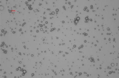 Figure 2. Core-shell microparticles encapsulating beta carotene